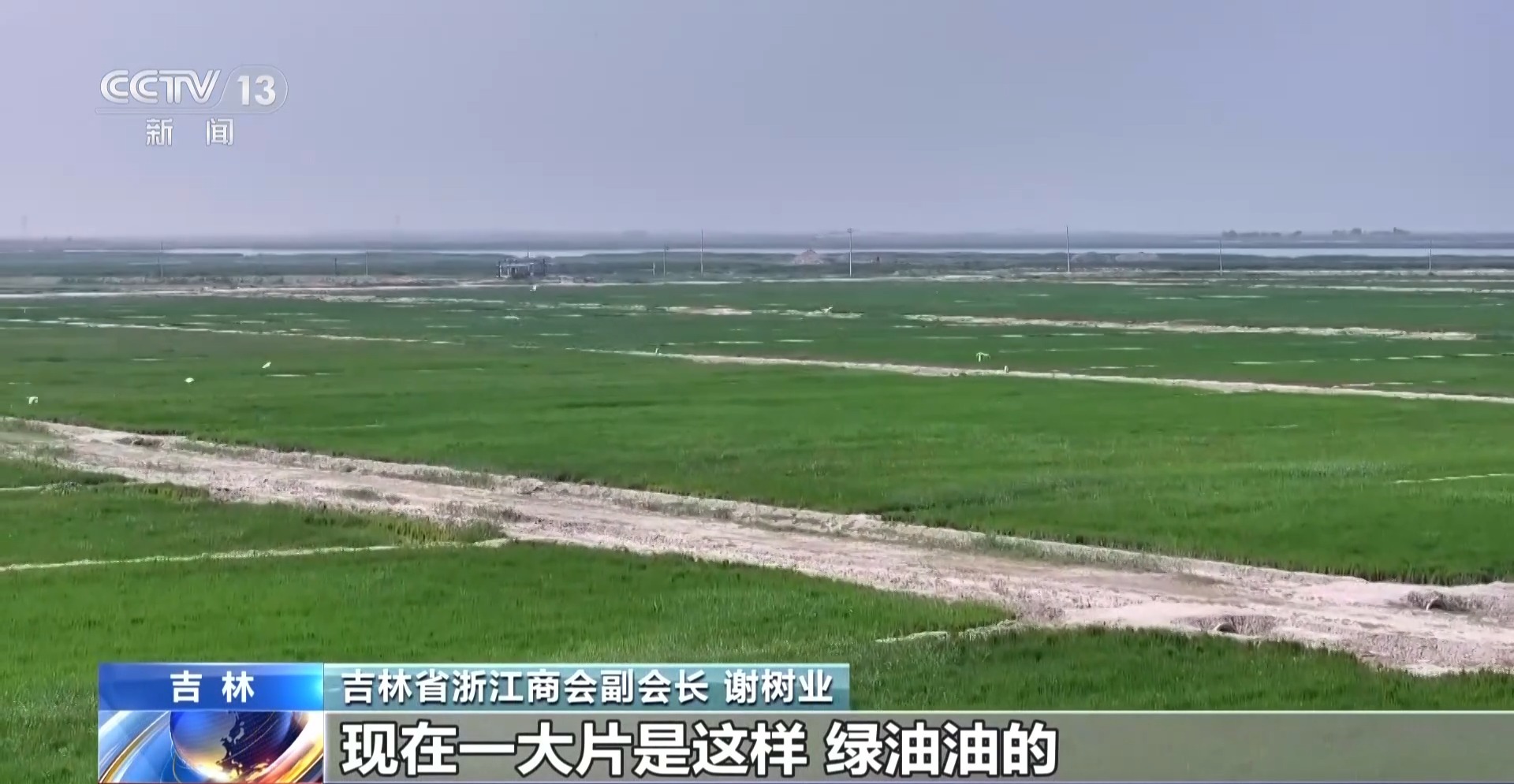 
复旦大学附属眼耳鼻喉科学院徐成志医生黄牛预约代挂号电话年中经济观察丨去产地建工厂 “飞地粮仓”探索跨省协作新样板