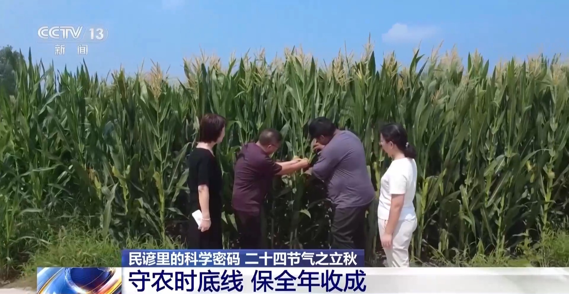 
陆军军医大学新桥医院杨鹰易善红方针强马丹肖卫东黄牛挂号电话视频丨“立秋晒秋，五谷不愁” 解锁民谚里的科学密码