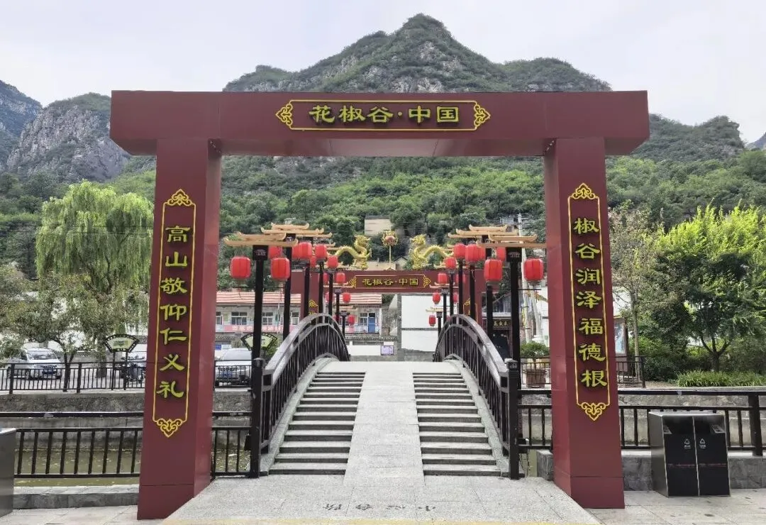 上海岳阳中西医结合医院黄牛号贩子票贩子代网上预约代挂号电话廿四节气 廿四村丨立秋:太行椒红