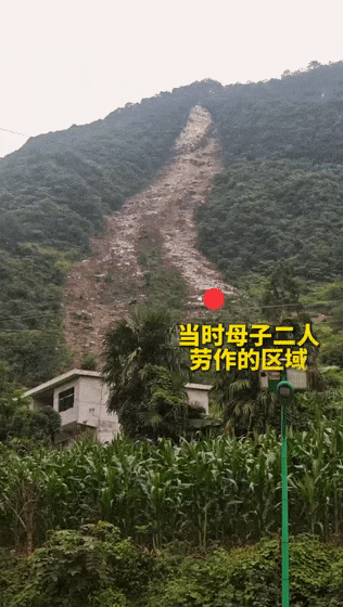 天津市肿瘤医院陈颖医生黄牛预约代挂号电话通报表扬!洗车时多看了一眼,他“救”下55人