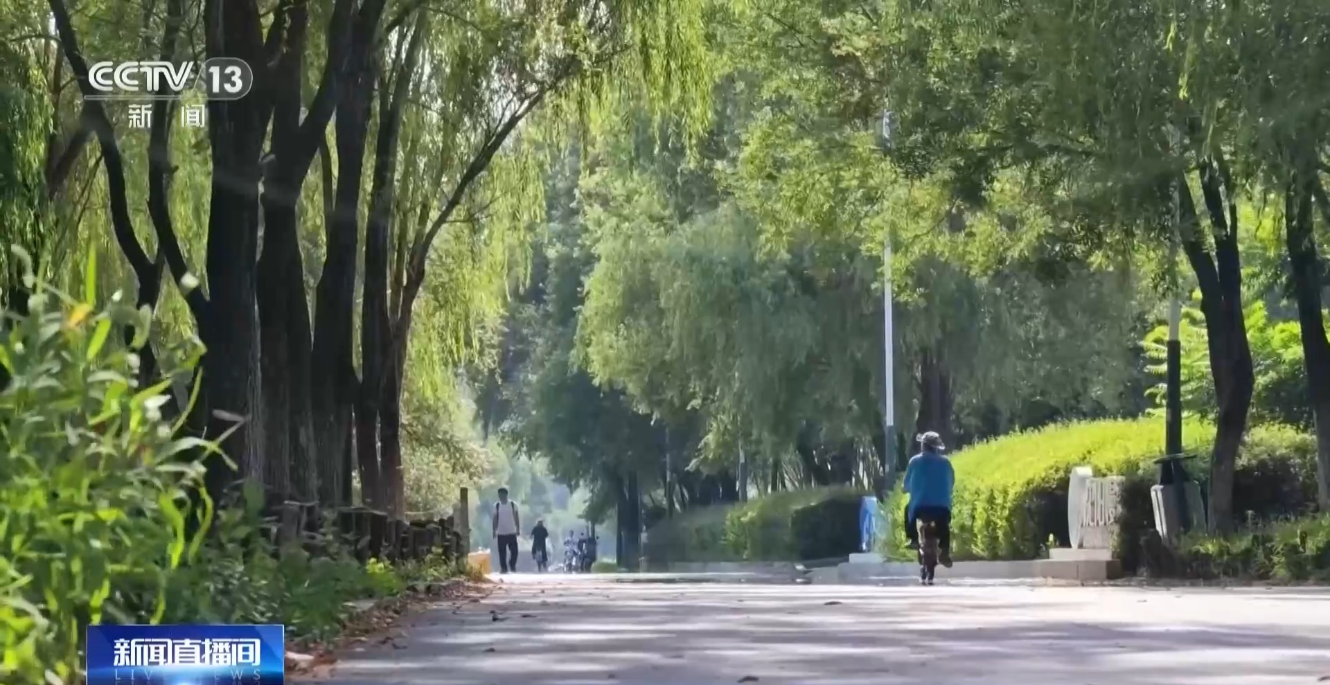 
陆军军医大学新桥医院杨鹰易善红方针强马丹肖卫东黄牛挂号电话视频丨“立秋晒秋，五谷不愁” 解锁民谚里的科学密码