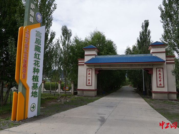 
北京儿童医院巩纯秀医生黄牛预约代挂号电话我们的家园｜戈壁拓荒，沪藏携手铺就高原致富路