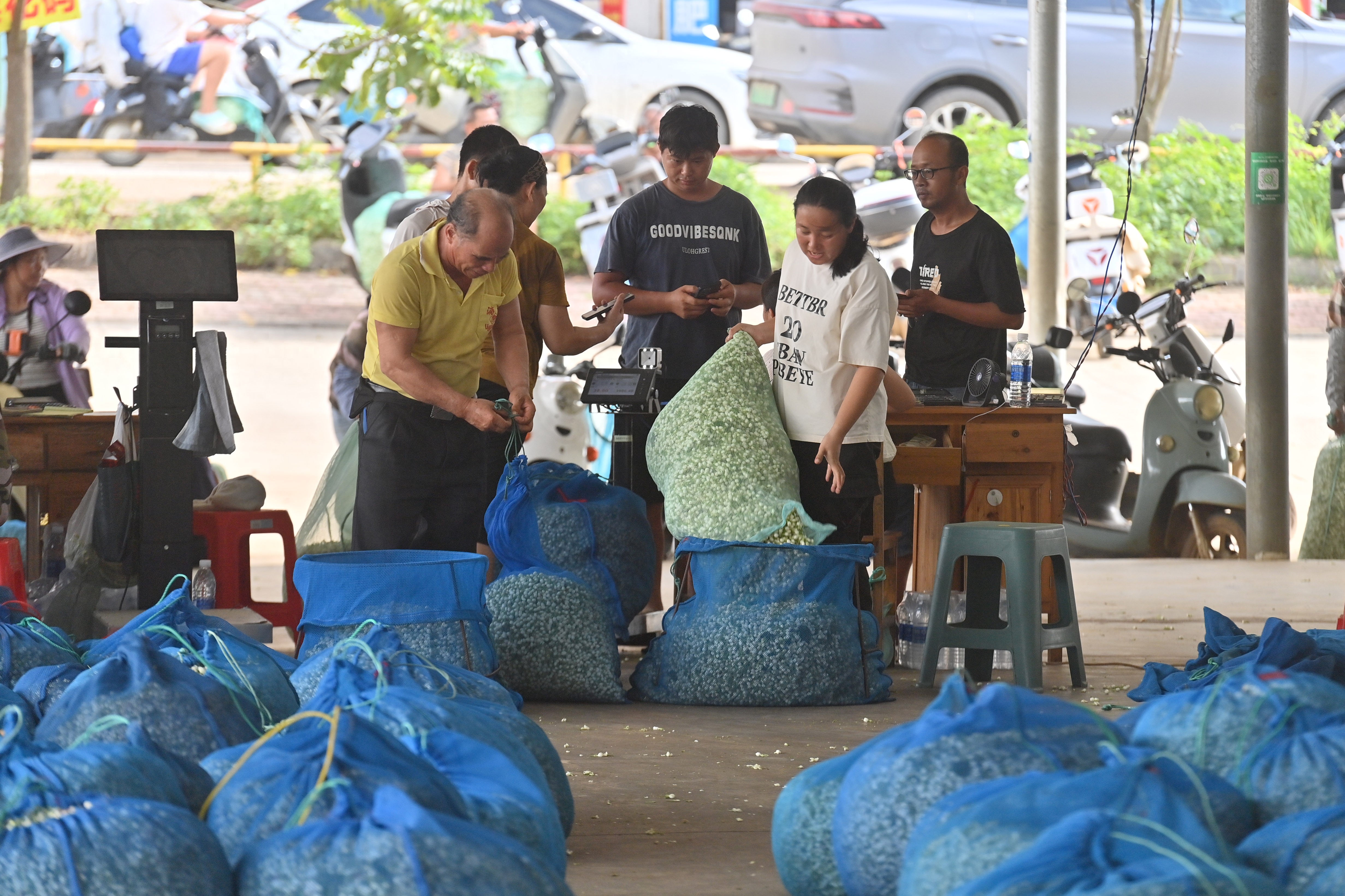 
广东省人民医院黄牛号贩子票贩子代网上预约代挂号电话风雨磨砺香如故