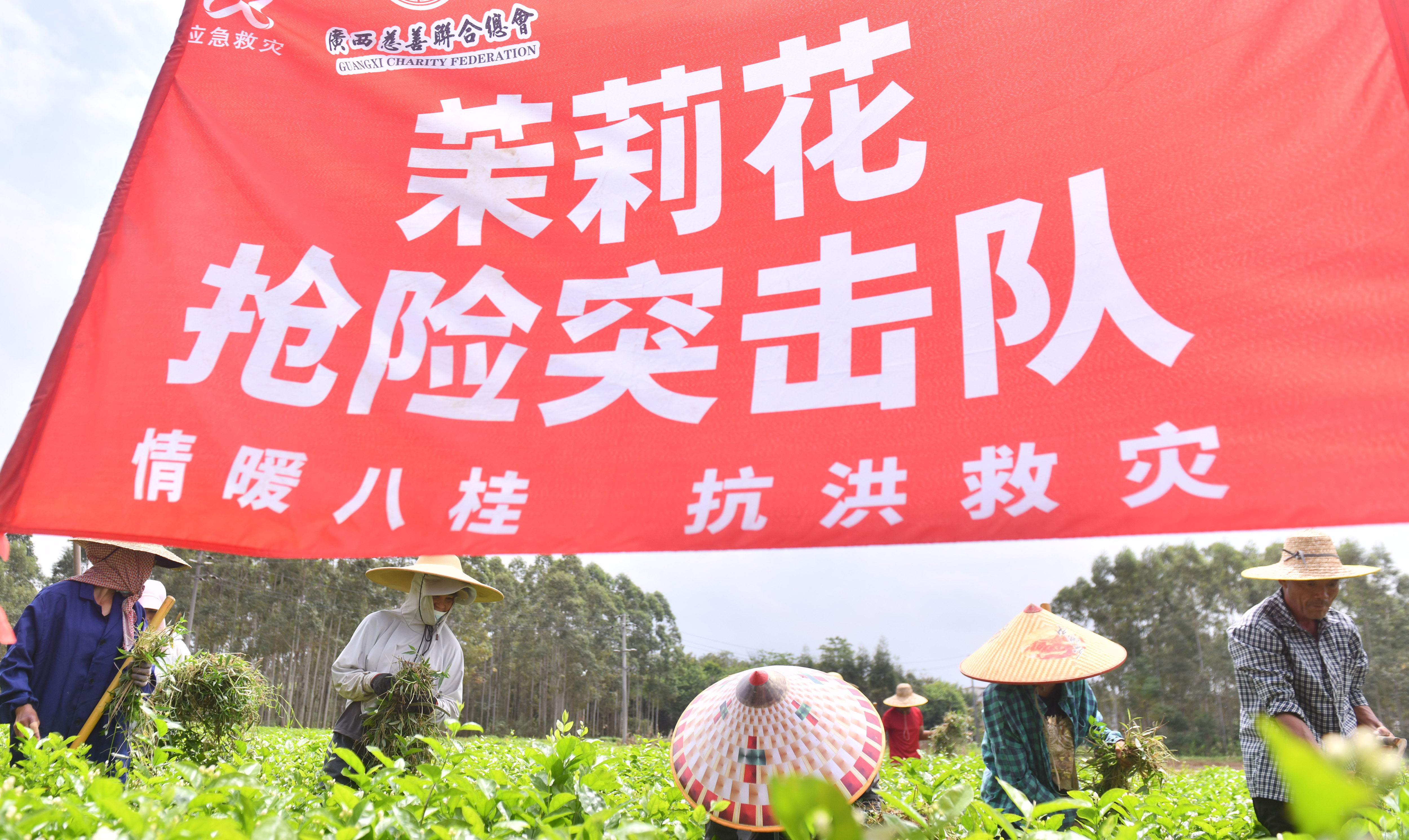 
广东省人民医院黄牛号贩子票贩子代网上预约代挂号电话风雨磨砺香如故