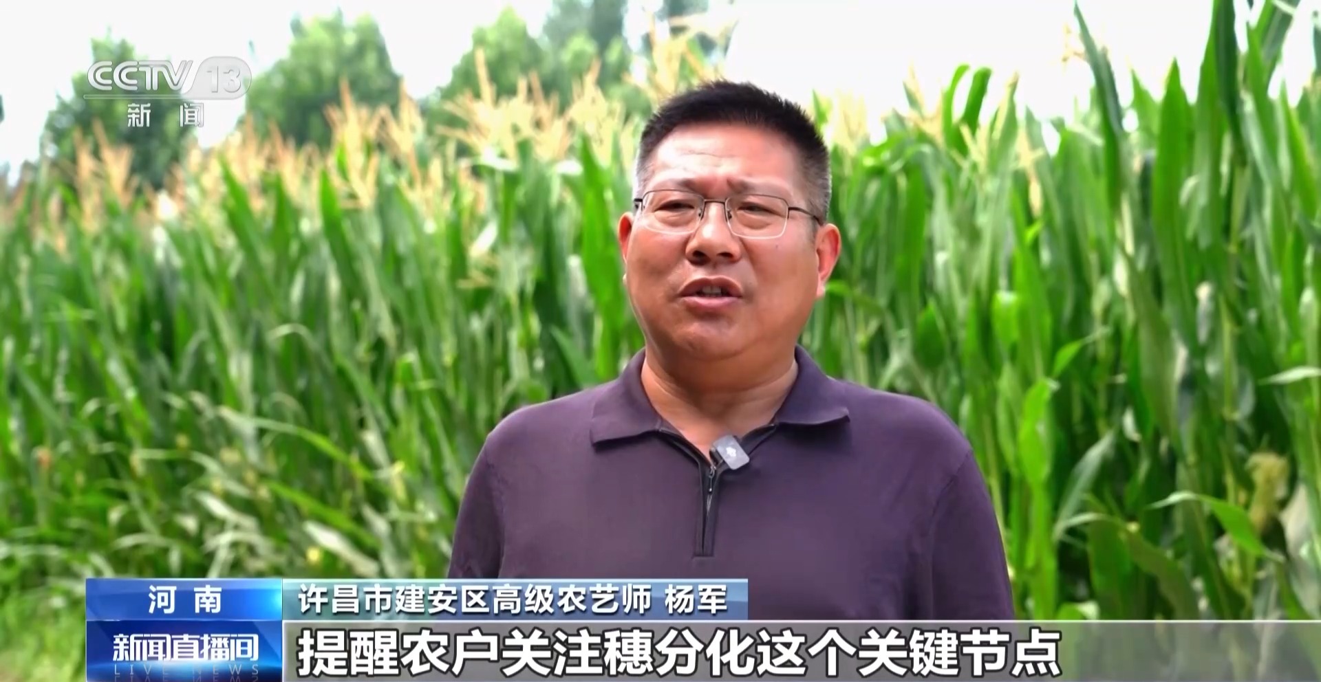 
陆军军医大学新桥医院杨鹰易善红方针强马丹肖卫东黄牛挂号电话视频丨“立秋晒秋，五谷不愁” 解锁民谚里的科学密码
