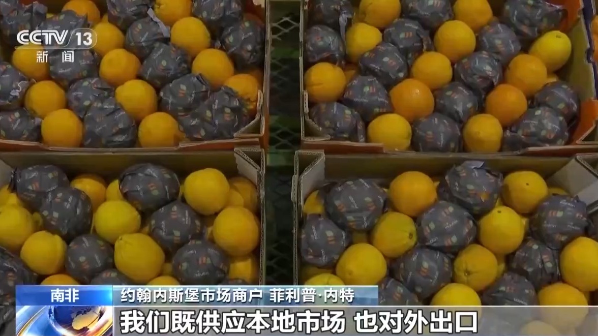 
中关村医院黄牛号贩子票贩子代网上预约代挂号电话总台记者观察丨从贸易通道到民生市场 金砖合作在南非落地见效