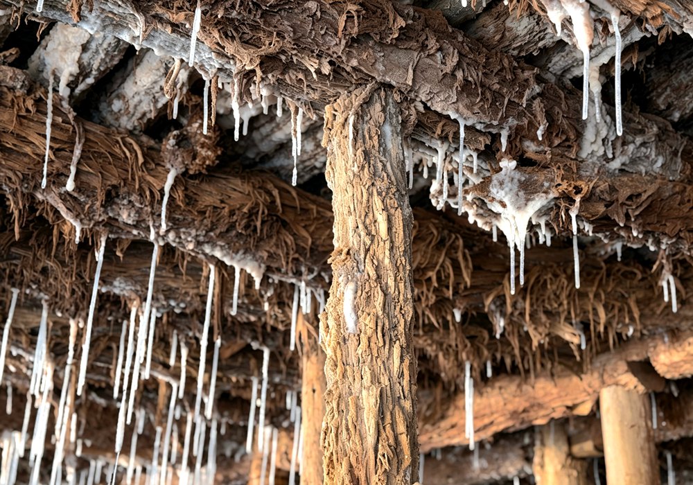 
上海市胸科医院叶波医生黄牛预约代挂号电话石榴花开 籽籽同心｜一块盐田，晒了1300年