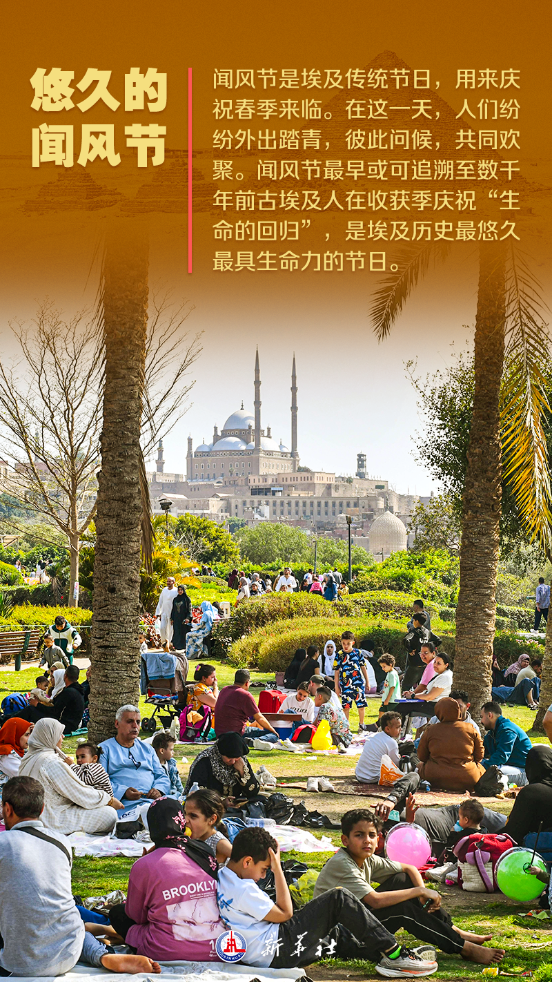 天津医院黄牛号贩子票贩子代网上预约代挂号电话海报 | 这,就是埃及