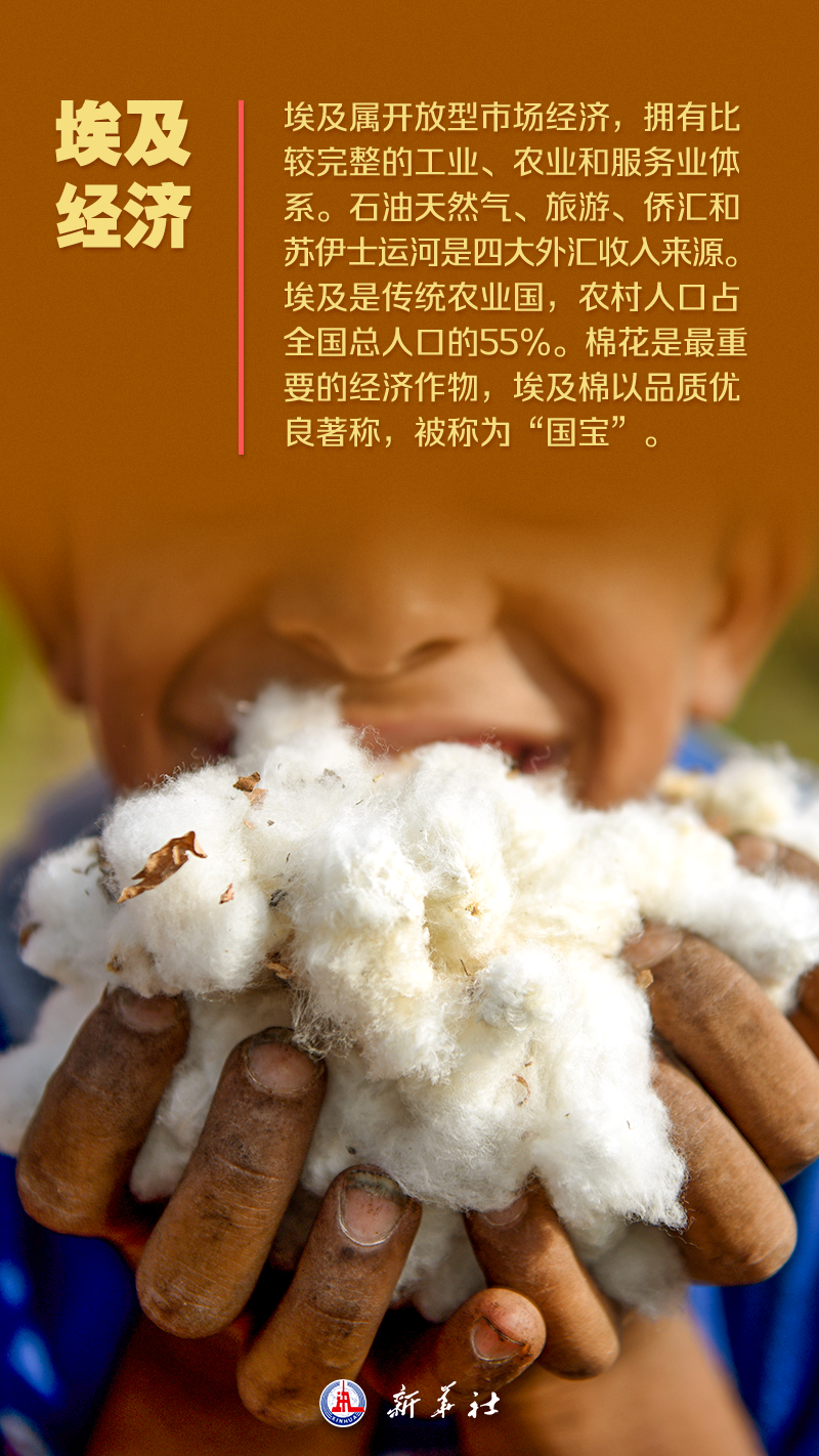 天津医院黄牛号贩子票贩子代网上预约代挂号电话海报 | 这,就是埃及
