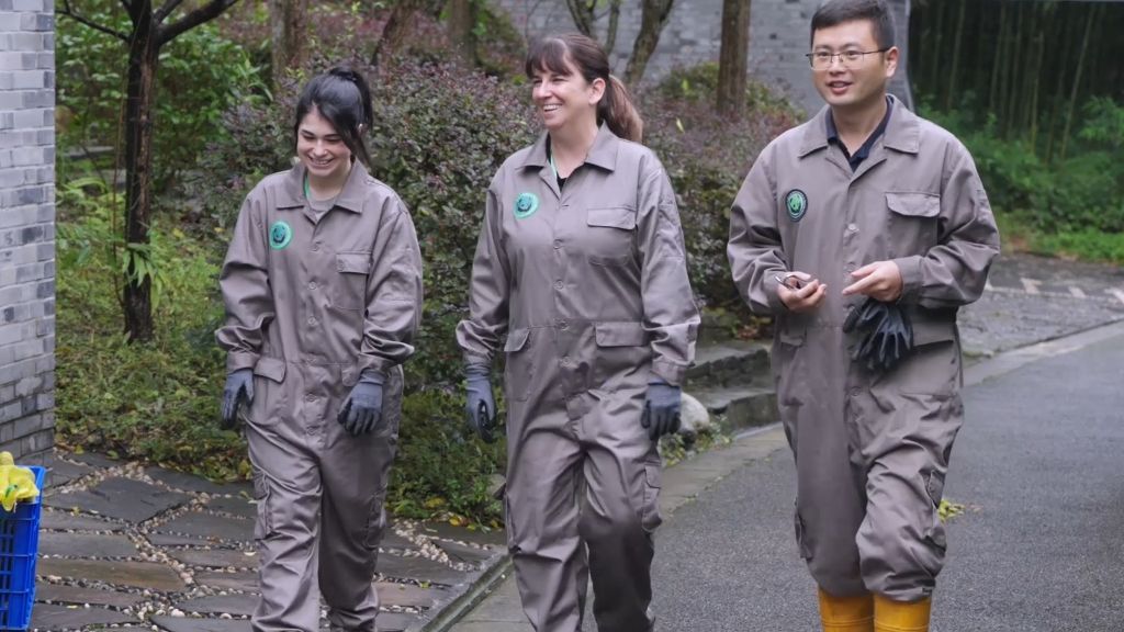 
上海中医药大学附属龙华医院范忠泽医生黄牛预约代挂号电话熊猫情缘：中美民间交流的温暖纽带