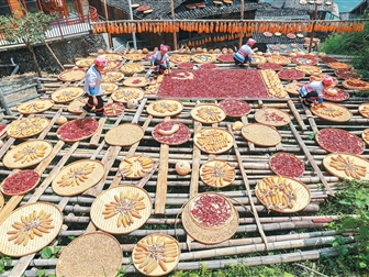 乡土焕新出圈海外