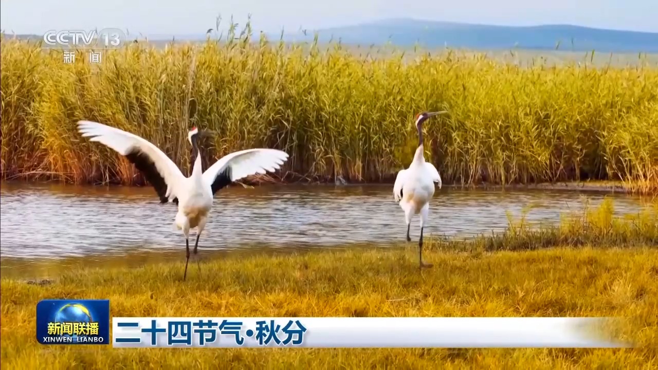 
山东省精神卫生中心杨晓东李万顺胡蕾黄牛挂号电话视频丨二十四节气·秋分 天地平分秋色 人间共此丰年