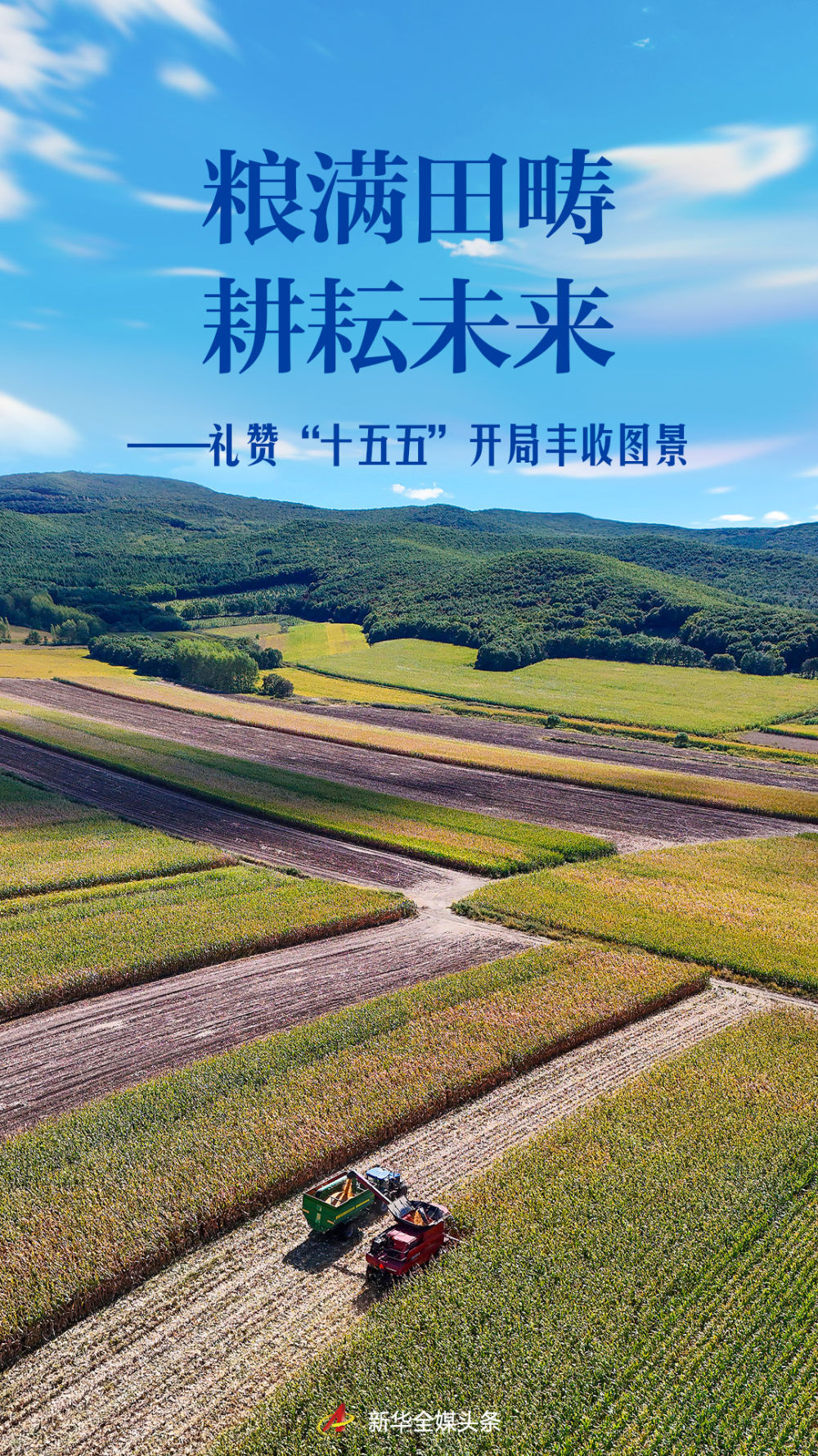 
广东省中医院芳村分院黄牛号贩子票贩子代网上预约代挂号电话粮满田畴 耕耘未来——礼赞“十五五”开局丰收图景