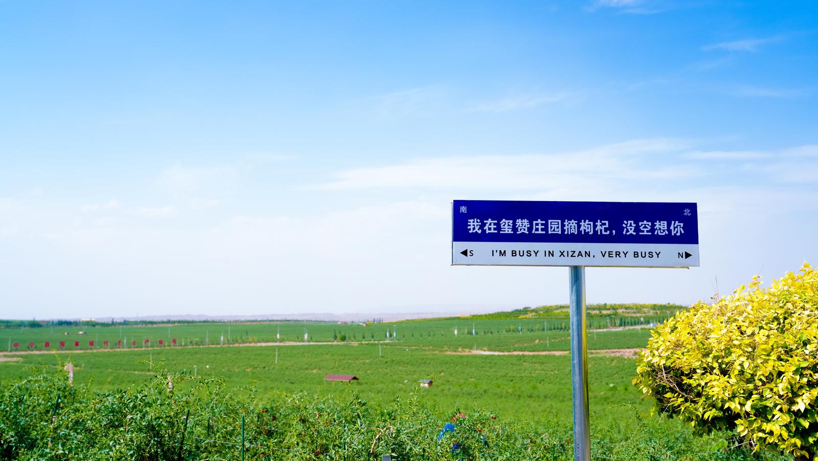 
天津儿童医院翟嘉李东黄牛挂号电话活力中国调研行 | 枸杞园里的“人鸟默契”