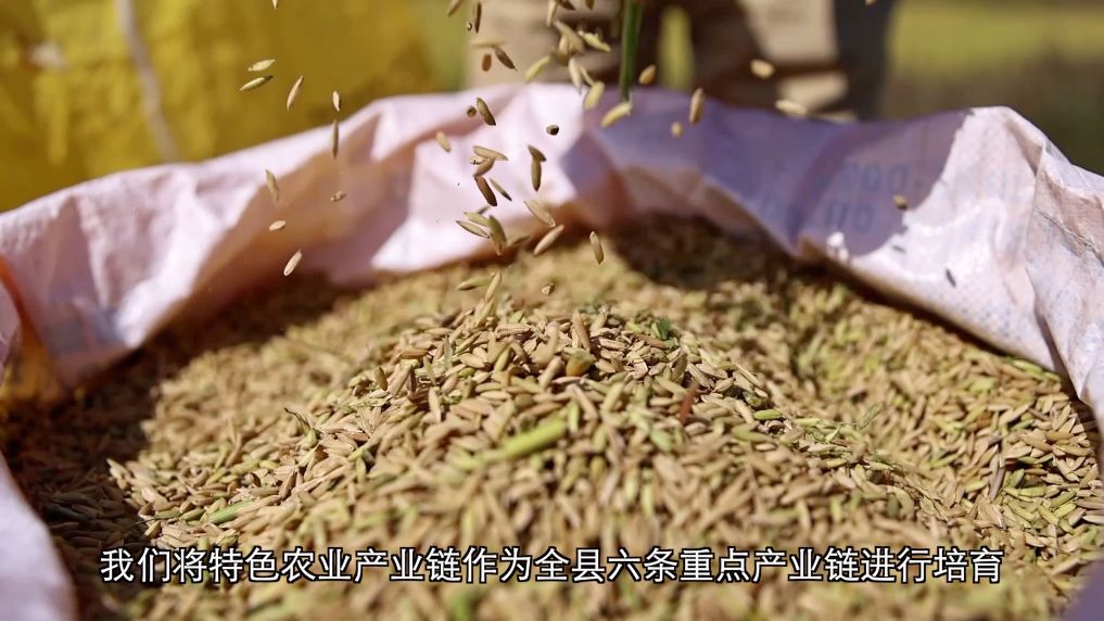 
四惠中医院黄牛号贩子票贩子代网上预约代挂号电话新华视点丨在“红飘带”起点续写“新长征故事”