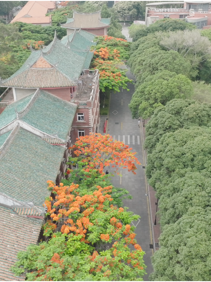 
南京市口腔医院胡凤山医生黄牛预约代挂号电话微视频｜月满中秋 情润山河