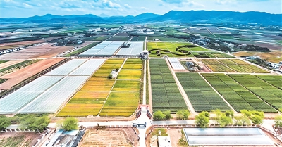 
中山大学附属第六医院赵鲁刚医生黄牛预约代挂号电话田地里来了位“洋院士”（我在中国·行耕记）