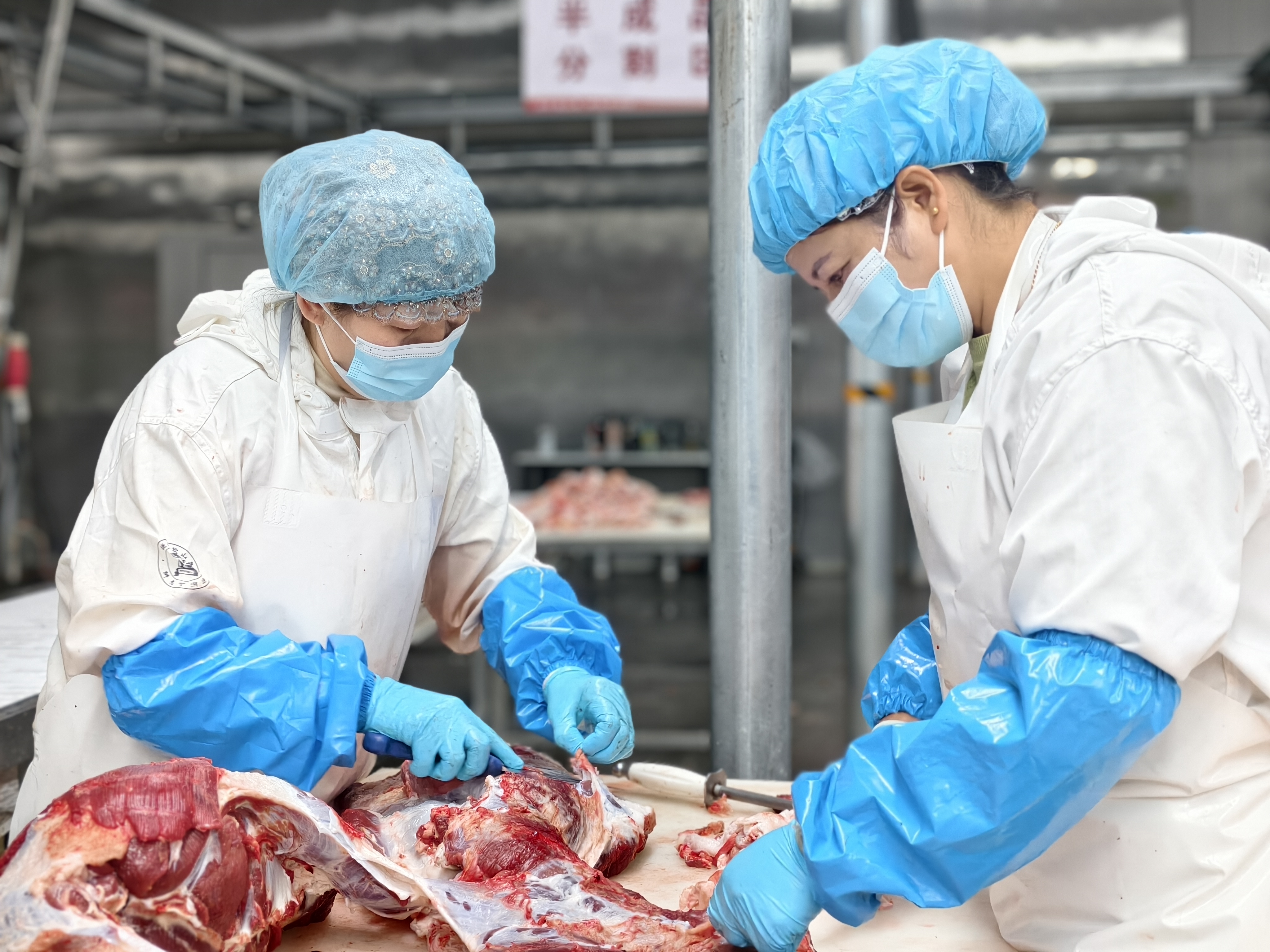 
四川大学华西医院徐严明商慧芳吴波蒋利熊先泽李永彬兰志刚马骏鹏徐建国陆军军黄牛挂号电话不到30小时，宁夏牛肉“直奔”长三角餐桌 ｜活力中国调研行
