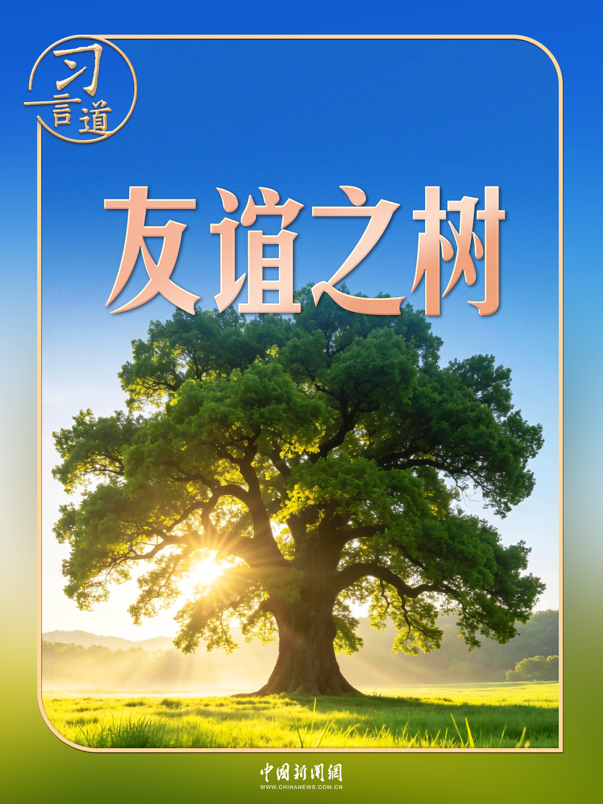 
山东省立医院王正军医生黄牛预约代挂号电话习言道｜在白宫，习近平提到了一棵树和一片林