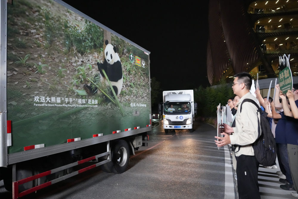 
上海市肺科医院朱余明医生黄牛预约代挂号电话视频丨大熊猫“平平”“福双”已启程赴美