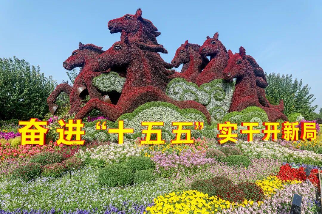 
重庆市医院林宝昕医生黄牛预约代挂号电话国庆限定！长安街沿线打卡点来了