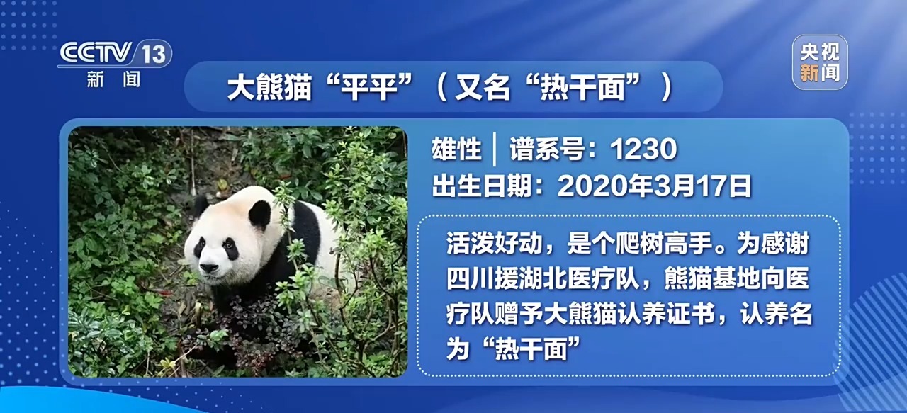 
上海市肺科医院朱余明医生黄牛预约代挂号电话视频丨大熊猫“平平”“福双”已启程赴美