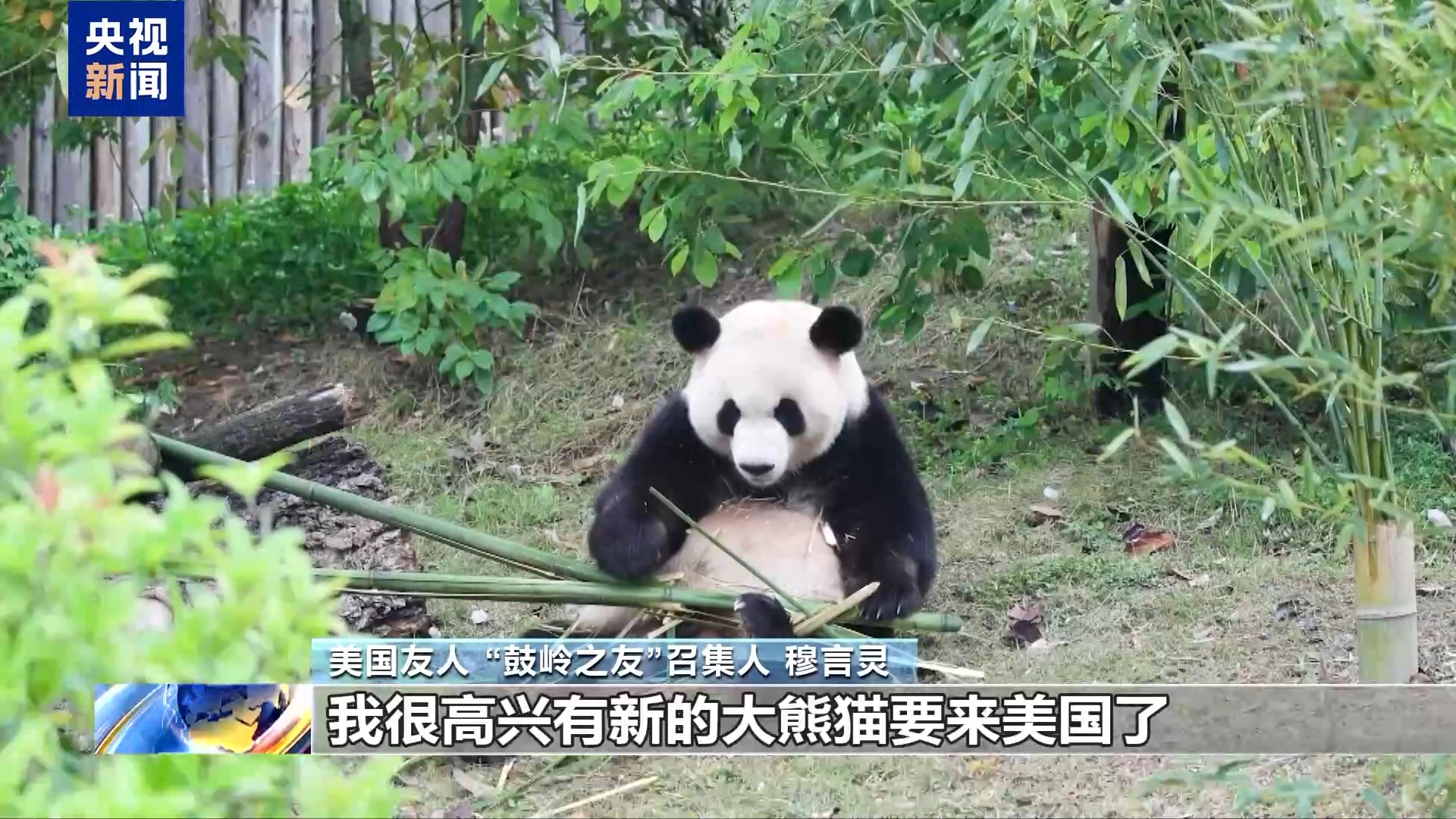 
复旦大学附属眼耳鼻喉科学院王武庆医生黄牛预约代挂号电话视频丨“鼓岭之友”召集人：期待中美青年继续友好交流 促进理解