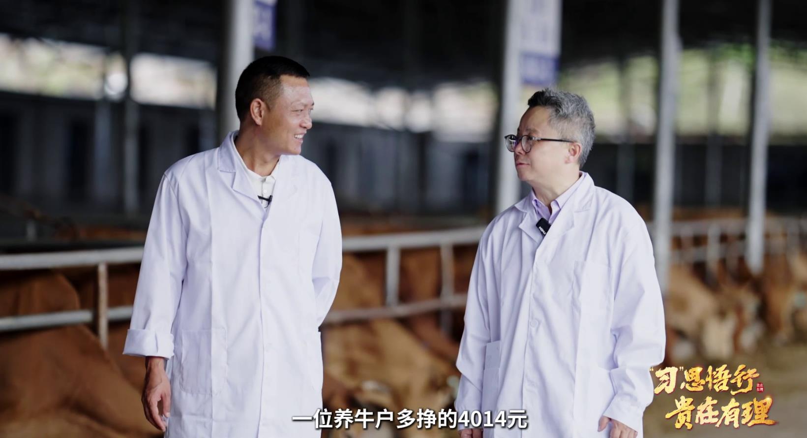 
上海市胸科医院叶波郭旭峰李志刚孙益峰黄牛挂号电话贵在有理丨桥的两头是人民
