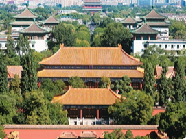守护文明瑰宝 推进交流互鉴