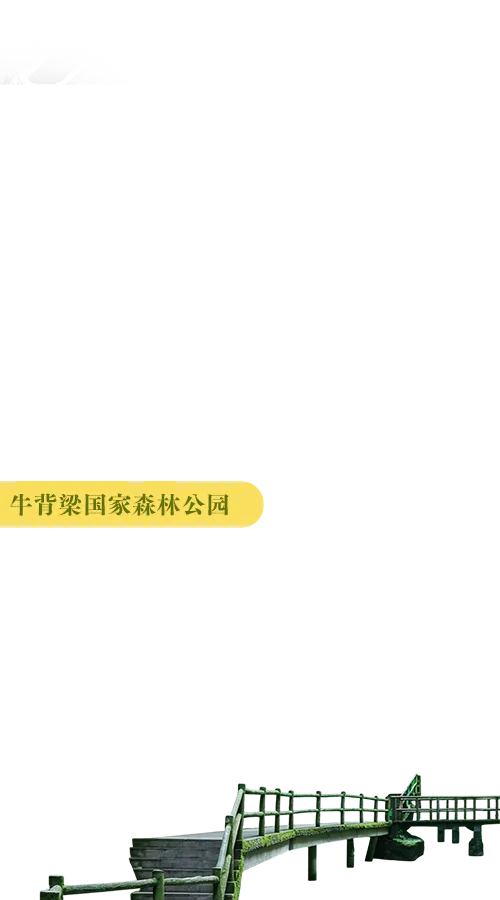 天津医科大学第二医院黄牛号贩子票贩子代网上预约代挂号电话时速350公里!复兴号穿越秦岭!