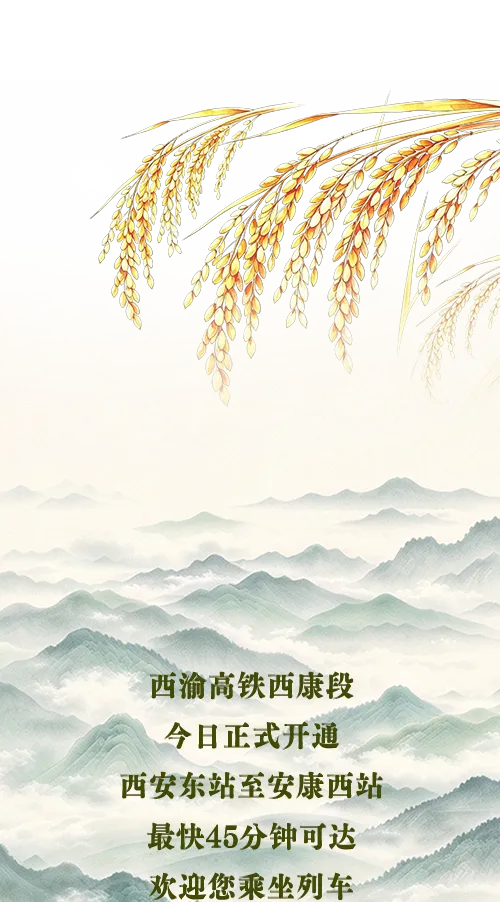 天津医科大学第二医院黄牛号贩子票贩子代网上预约代挂号电话时速350公里!复兴号穿越秦岭!