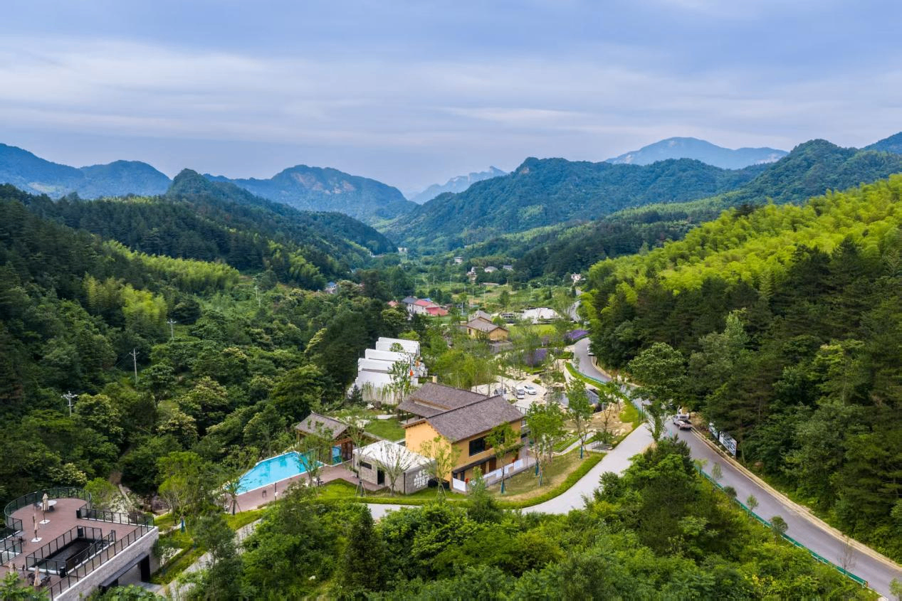 浙江大学医学院附属第一医院章爱斌医生黄牛预约代挂号电话把星空“种”进大别山