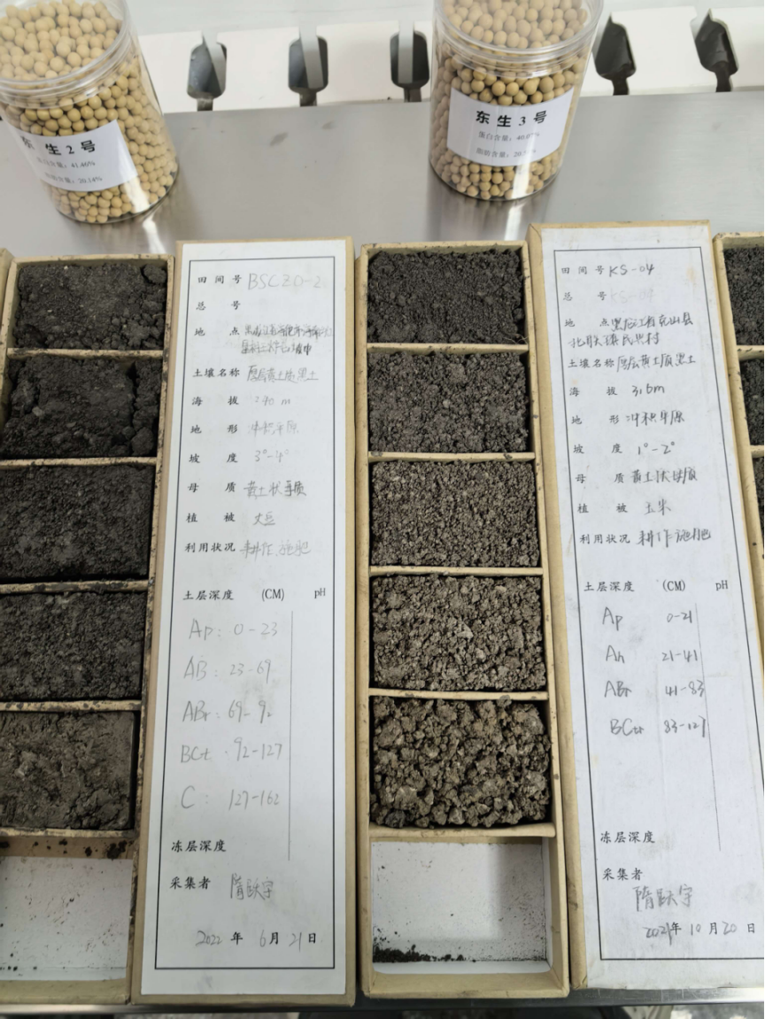 复旦大学附属肿瘤医院徐科达邵志敏朱耀叶定伟曹达龙吴小华胡夕青张剑张晓伟刘文生张倜朱卫平黄牛挂号电话活力中国调研行·绥化篇|黑土粮仓的“活力密码”