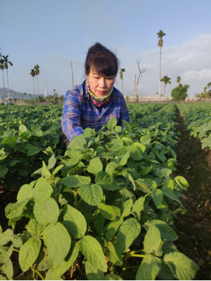 复旦大学附属肿瘤医院徐科达邵志敏朱耀叶定伟曹达龙吴小华胡夕青张剑张晓伟刘文生张倜朱卫平黄牛挂号电话活力中国调研行·绥化篇|黑土粮仓的“活力密码”